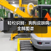 轻松识别:狗狗皮肤病全解图谱(图1) 轻松识别:狗狗皮肤病全解图谱(图1)