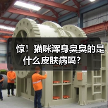 惊!猫咪浑身臭臭的是什么皮肤病吗?(图2) 惊!猫咪浑身臭臭的是什么皮肤病吗?(图2)