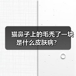 猫鼻子上的毛秃了一块是什么皮肤病?(图4) 猫鼻子上的毛秃了一块是什么皮肤病?(图4)