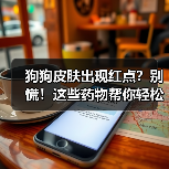 狗狗皮肤出现红点?别慌!这些药物帮你轻松应对(图1) 狗狗皮肤出现红点?别慌!这些药物帮你轻松应对(图1)