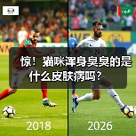 惊!猫咪浑身臭臭的是什么皮肤病吗?(图4) 惊!猫咪浑身臭臭的是什么皮肤病吗?(图4)