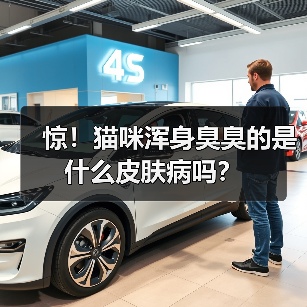 惊！猫咪浑身臭臭的是什么皮肤病吗？