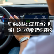 狗狗皮肤出现红点?别慌!这些药物帮你轻松应对(图4) 狗狗皮肤出现红点?别慌!这些药物帮你轻松应对(图4)