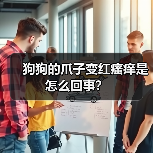 狗狗的爪子变红瘙痒是怎么回事?(图3) 狗狗的爪子变红瘙痒是怎么回事?(图3)
