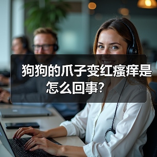 狗狗的爪子变红瘙痒是怎么回事?(图2) 狗狗的爪子变红瘙痒是怎么回事?(图2)