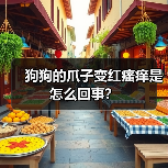 狗狗的爪子变红瘙痒是怎么回事?(图4) 狗狗的爪子变红瘙痒是怎么回事?(图4)