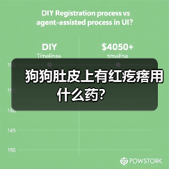 狗狗肚皮上有红疙瘩用什么药？（图1）