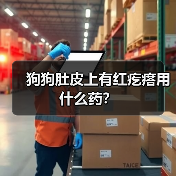 狗狗肚皮上有红疙瘩用什么药？（图4）