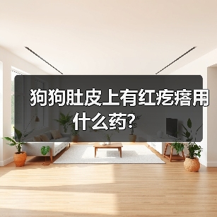 狗狗肚皮上有红疙瘩用什么药？（图3）