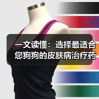 一文读懂：选择最适合您狗狗的皮肤病治疗药物（图1）