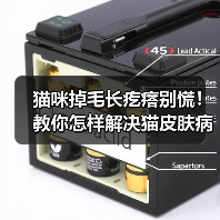 猫咪掉毛长疙瘩别慌!教你怎样解决猫皮肤病!(图1) 猫咪掉毛长疙瘩别慌!教你怎样解决猫皮肤病!(图1)