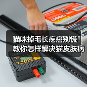 猫咪掉毛长疙瘩别慌!教你怎样解决猫皮肤病!(图4) 猫咪掉毛长疙瘩别慌!教你怎样解决猫皮肤病!(图4)