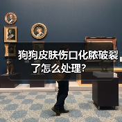 狗狗皮肤伤口化脓破裂了怎么处理?(图4) 狗狗皮肤伤口化脓破裂了怎么处理?(图4)