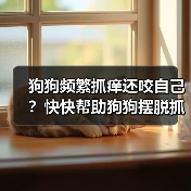 狗狗频繁抓痒还咬自己?快快帮助狗狗摆脱抓挠烦恼(图3) 狗狗频繁抓痒还咬自己?快快帮助狗狗摆脱抓挠烦恼(图3)