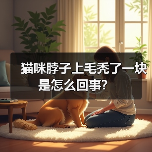 猫咪脖子上毛秃了一块是怎么回事?(图2) 猫咪脖子上毛秃了一块是怎么回事?(图2)