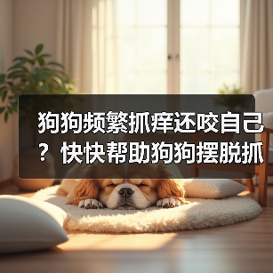 狗狗频繁抓痒还咬自己？快快帮助狗狗摆脱抓挠烦恼