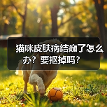 猫咪皮肤病结痂了怎么办？要抠掉吗？