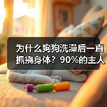 为什么狗狗洗澡后一直抓挠身体？90%的主人不知道的秘密