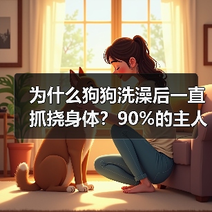 为什么狗狗洗澡后一直抓挠身体?90%的主人不知道的秘密(图2) 为什么狗狗洗澡后一直抓挠身体?90%的主人不知道的秘密(图2)