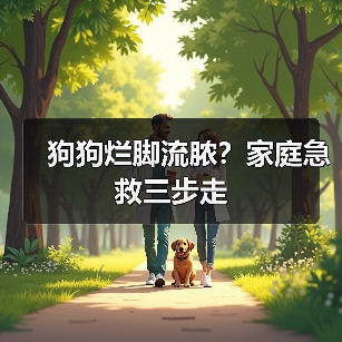 狗狗烂脚流脓?家庭急救三步走(图3) 狗狗烂脚流脓?家庭急救三步走(图3)