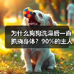 为什么狗狗洗澡后一直抓挠身体?90%的主人不知道的秘密(图4) 为什么狗狗洗澡后一直抓挠身体?90%的主人不知道的秘密(图4)