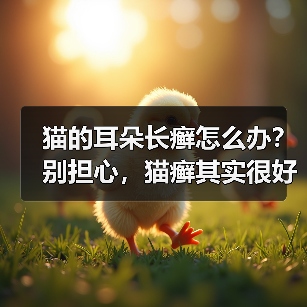 猫的耳朵长癣怎么办?别担心,猫癣其实很好治!(图3) 猫的耳朵长癣怎么办?别担心,猫癣其实很好治!(图3)