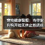 宠物健康警报：当你家狗狗开始无休止地抓痒...