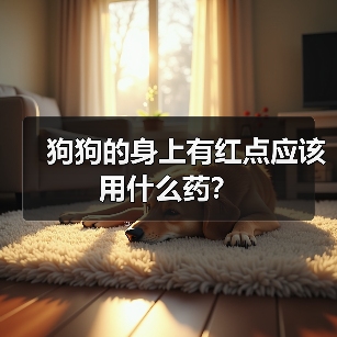 狗狗的身上有红点应该用什么药？