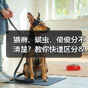 猫癣、螨虫，傻傻分不清楚？教你快速区分&治疗！（图3）