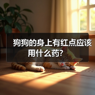 狗狗的身上有红点应该用什么药?(图2) 狗狗的身上有红点应该用什么药?(图2)