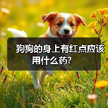 狗狗的身上有红点应该用什么药?(图4) 狗狗的身上有红点应该用什么药?(图4)