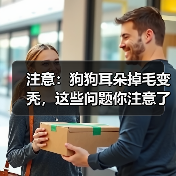 注意：狗狗耳朵掉毛变秃，这些问题你注意了吗？（图4）