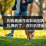狗狗真菌性皮肤病别再乱用药了,选对药很重要(图4) 狗狗真菌性皮肤病别再乱用药了,选对药很重要(图4)