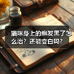 猫咪身上的癣发黑了怎么治？还能变白吗？