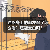 猫咪身上的癣发黑了怎么治？还能变白吗？（图3）