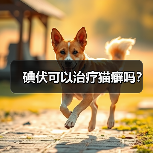 碘伏可以治疗猫癣吗？