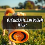 狗狗皮肤病止痒的药有哪些?（图2）