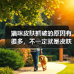 猫咪皮肤抓破的原因有很多,不一定就是皮肤病!(图3) 猫咪皮肤抓破的原因有很多,不一定就是皮肤病!(图3)