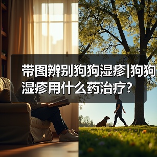 带图辨别狗狗湿疹|狗狗湿疹用什么药治疗？