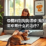带图辨别狗狗湿疹|狗狗湿疹用什么药治疗？（图3）