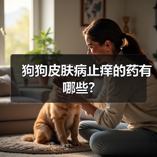 狗狗皮肤病止痒的药有哪些?（图4）