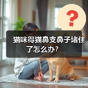 猫咪得猫鼻支鼻子堵住了怎么办？（图4）