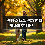 9种狗狗皮肤病对照图|用药治疗详解!(图4) 9种狗狗皮肤病对照图|用药治疗详解!(图4)