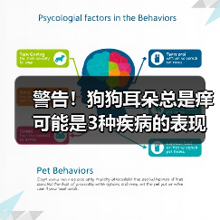 警告！狗狗耳朵总是痒可能是3种疾病的表现（图3）