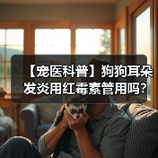 【宠医科普】狗狗耳朵发炎用红霉素管用吗？（图4）