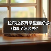 拉布拉多耳朵里面好像化脓了怎么办？（图4）