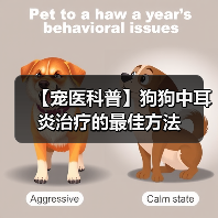 【宠医科普】狗狗中耳炎治疗的最佳方法