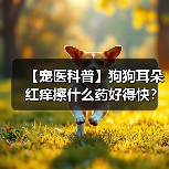 【宠医科普】狗狗耳朵红痒擦什么药好得快?(图3) 【宠医科普】狗狗耳朵红痒擦什么药好得快?(图3)
