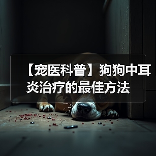 【宠医科普】狗狗中耳炎治疗的最佳方法（图4）