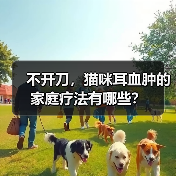 不开刀,猫咪耳血肿的家庭疗法有哪些?(图3) 不开刀,猫咪耳血肿的家庭疗法有哪些?(图3)